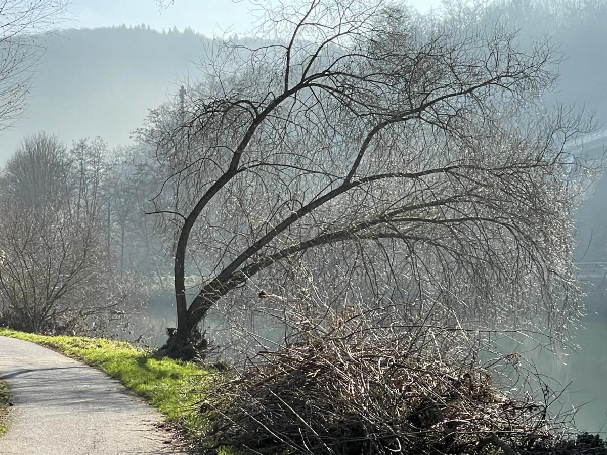 Ferienwohnung Bei Bad Ems Im Lahntal Fachbach Eksteriør bilde